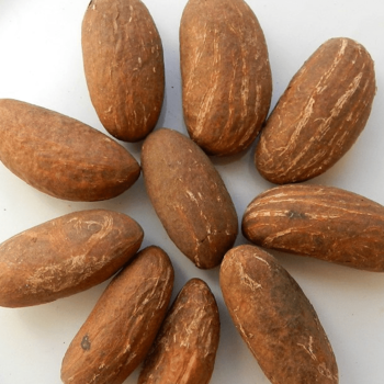 Viber / Acerca del producto Kola amarga fresca Precio al por mayor de Garcinia a granel Las investigaciones en la ciencia moderna han revelado que la cola
