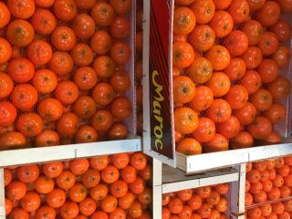 "AGRUMCO es una empresa familiar, ubicada en la ciudad