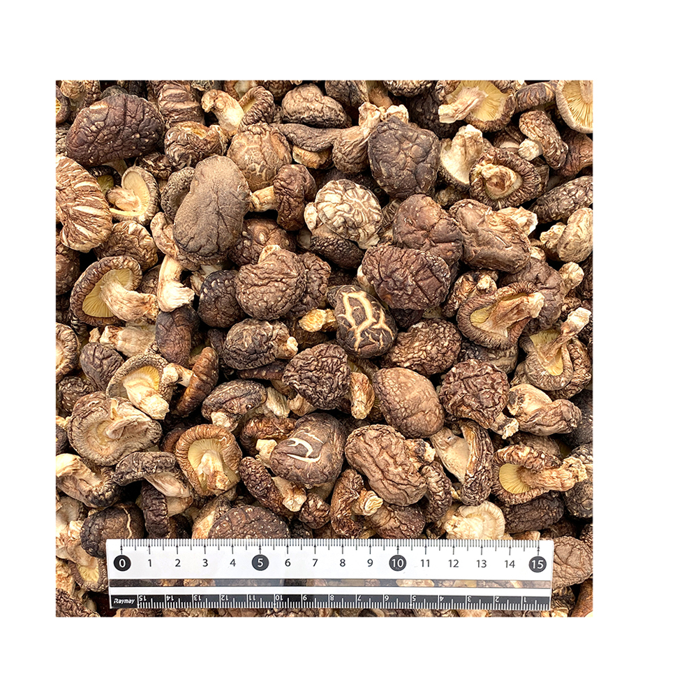 setas de hongos frescos carnosos gruesos secos naturales ingrediente