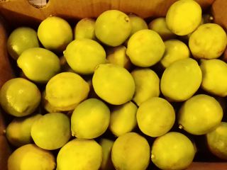 Tengo 90 toneladas de limones frescos disponibles a partir