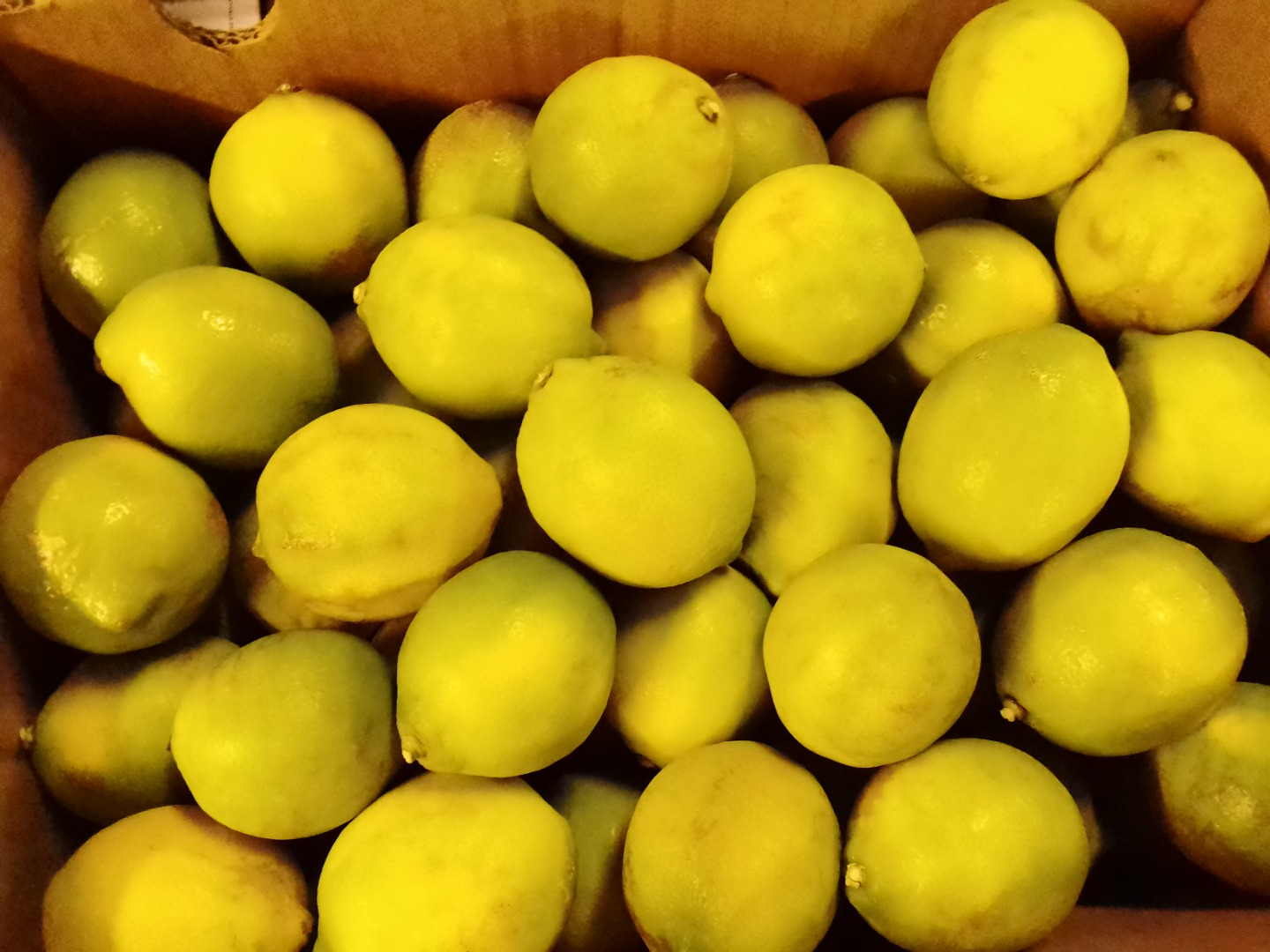 Tengo 90 toneladas de limones frescos disponibles a partir del 1 de mayo de 2021