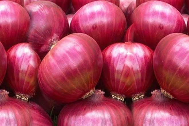 Ahora ofrecemos frescos: (Cebolla Roja) para la temporada 2021-2022 estamos listos para preparar cualquier cantidad