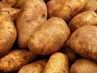 Tenemos patatas de alta calidad (rojizas) para el consumo.