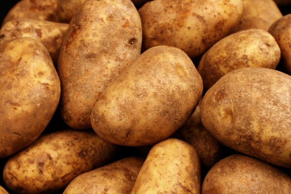 Tenemos patatas de alta calidad (rojizas) para el consumo