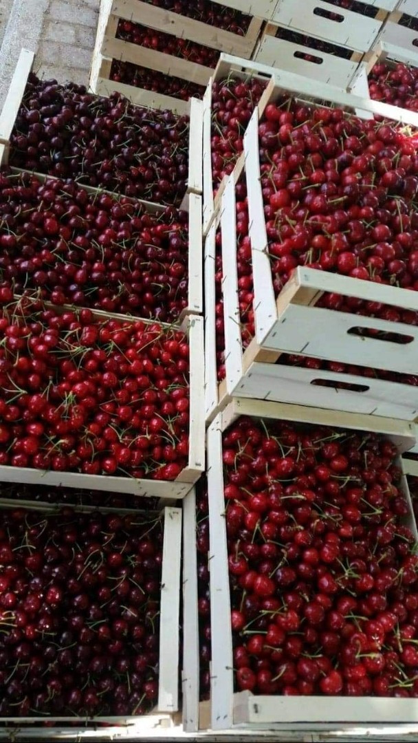 Ofrecemos los mejores precios para las cerezas en cada momento