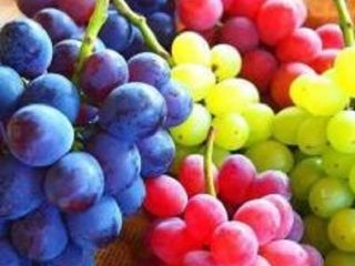 Calidad Excelente fruta, buena fruta Color Verde Diámetro horizontal