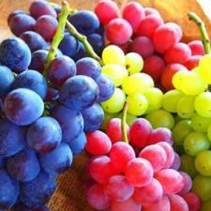 Calidad Excelente fruta, buena fruta Color Verde Diámetro horizontal 1-8 cm de diámetro (algunas frutas) Período de garantía 1-100 días País de origen