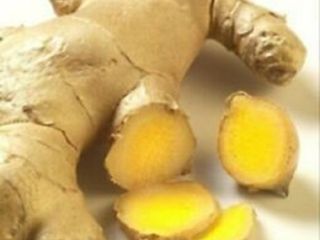 Naranjas cuidadosamente seleccionadas y recolectadas de los campos de