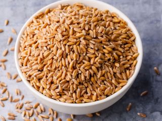 Proteína de trigo alimenticia - min. 12,5 / 11,5%;
