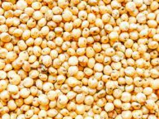 Sorgo rojo / blanco Humedad - máx. 14,0%; Aditivo