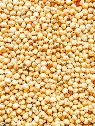 Sorgo rojo / blanco Humedad - máx