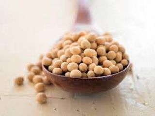Soja (OGM y no OGM) Humedad - máx. 12,0%;