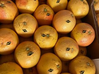 Venderé 15 toneladas de pomelo para hacer jugos.