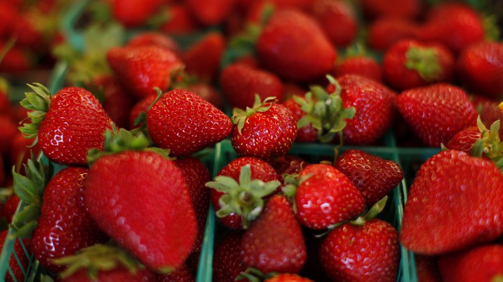 valor del artículo Estilo Fresco Tipo de producto Bayas Tipo de cultivo de fresa Tipo COMÚN Madurez Certificación madura Brecha global Grado A Lugar de origen