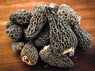 Nombre del producto: IQF trufa de verano congelada de