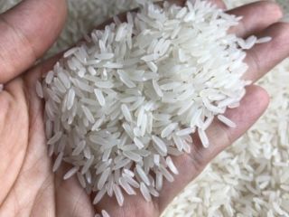 El arroz jazmín es un arroz fragante con un