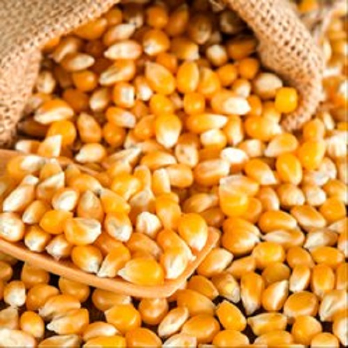 Maíz amarillo Maíz Nombre del producto 2018 Gran calidad a granel IQF Granos de maíz amarillo dulce Variedad 1.IQF maíz dulce entero, dulce medio: Tamaño: