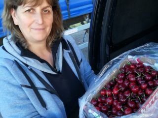 Cerezas Cerezas Cerezas Frescas Frescas Deliciosas directamente del productor