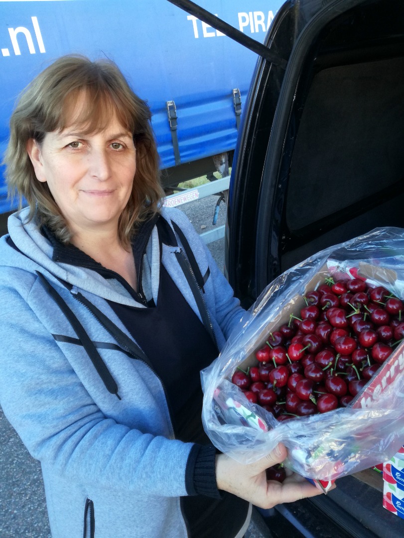 Cerezas Cerezas Cerezas Frescas Frescas Deliciosas directamente del productor Las entrego desde Bulgaria directamente a su dirección