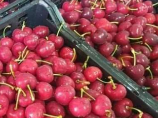 Cerezas Cerezas frescas Nueva temporada Entrego a Polonia Letonia