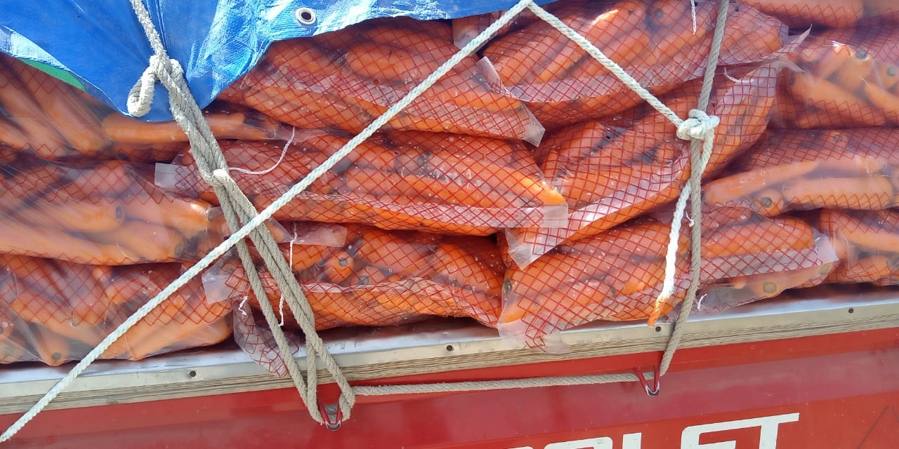 Zanahorias frescas y jugosas