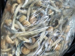 Somos proveedores de productos agrícolas como Jengibre, Ajo, Cebollas,