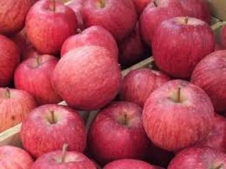 Tenemos más de 9 especies diferentes de Manzanas, incluida