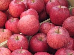 Tenemos más de 9 especies diferentes de Manzanas, incluida la MANZANA SEKAI ICHI más cara lista para ser exportada