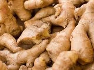 Jengibre grado A disponible para exportación. Póngase en contacto