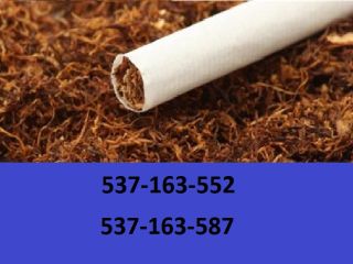 ¡Tabaco para cigarrillos de la mejor calidad! ¡Regalos y