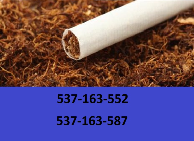 ¡Tabaco para cigarrillos de la mejor calidad! ¡Regalos y promociones adicionales para nuestros clientes! No encontrará estacas, polvo o moho con nosotros
