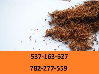 ¡Tabaco para cigarrillos de la mejor calidad! ¡Regalos y