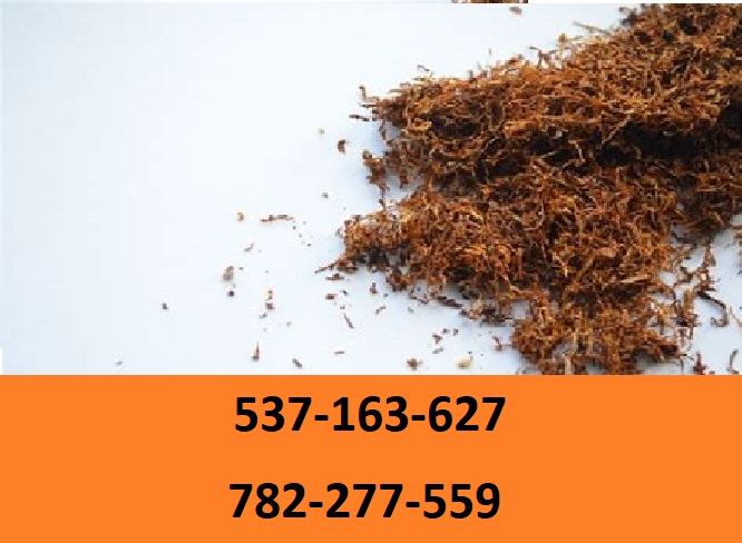 ¡Tabaco para cigarrillos de la mejor calidad! ¡Regalos y promociones adicionales para nuestros clientes! No encontrará estacas, polvo o moho con nosotros