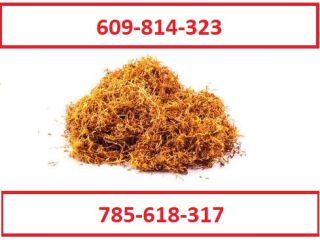 ¡Tabaco para cigarrillos de la mejor calidad! ¡Regalos y