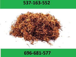¡Tabaco para cigarrillos de la mejor calidad! ¡Regalos y