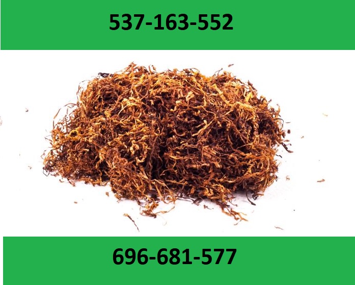 ¡Tabaco para cigarrillos de la mejor calidad! ¡Regalos y promociones adicionales para nuestros clientes! No encontrará estacas, polvo o moho con nosotros