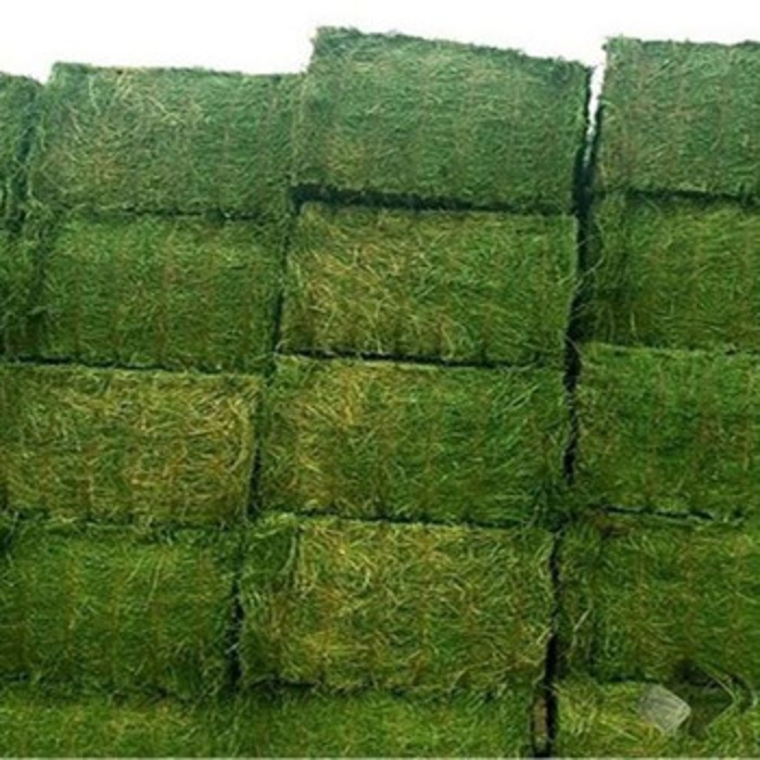 Fardos de alfalfa de alta calidad Peso: 750 y 800 KG - 400KG (bajo pedido) Longitudes: 2,20 - 2,30 metros Ancho: 1 - 1,1 metros Alto: 80 metros Proteínas: Min