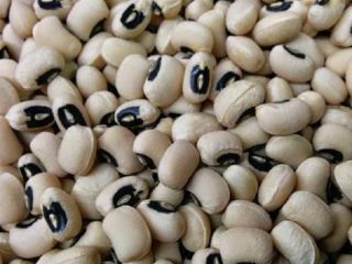New Crop Black Eye Vigna White Beans / Cowpeas