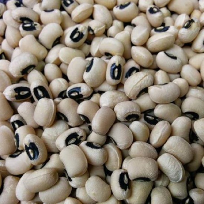 New Crop Black Eye Vigna White Beans / Cowpeas Somos proveedores y distribuidores de Granos Vigna de alta calidad (Black Eye Beans, Cowpea Beans)