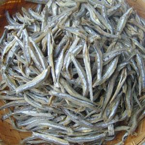 Somos un proveedor confiable de una variedad de productos del mar, especialmente en pescados secos, tales como Pescado Redondo, Pescado Rayado Amarillo