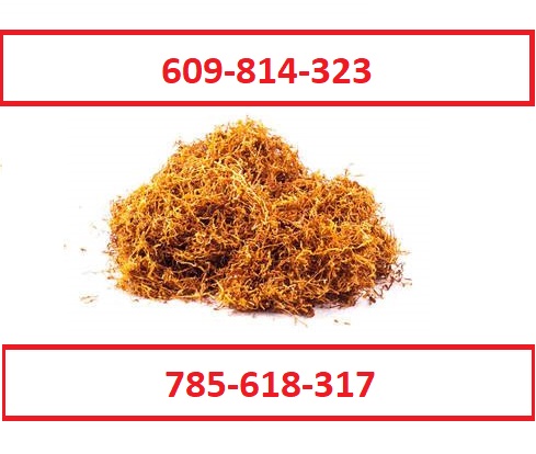 ¡Tabaco para cigarrillos de la mejor calidad! ¡Regalos y promociones adicionales para nuestros clientes! No encontrará estacas, polvo o moho con nosotros