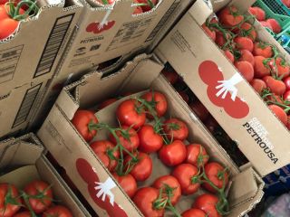 Vendo tomates, Grecia, Turquía. Precio 6 lei por kg!