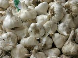 Ajo blanco de alta calidad