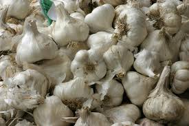 Ajo blanco de alta calidad