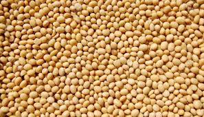 Somos un proveedor de productos agrícolas (soja, semillas de karité y manteca de karité) en Benin en África Occidental