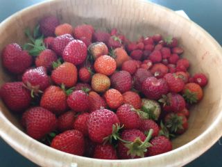 Compraré fresas 1000 cestas al día durante toda la