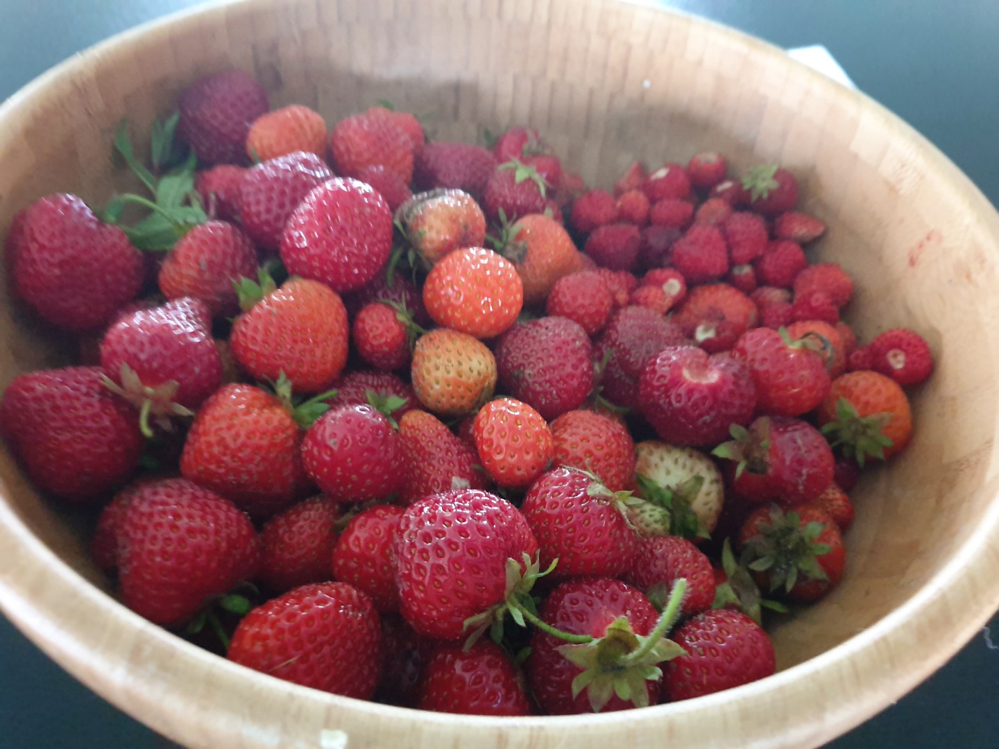 Compraré fresas 1000 cestas al día durante toda la temporada