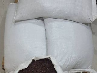 Estamos ofreciendo un halcón de frutos secos. Calidad, primero