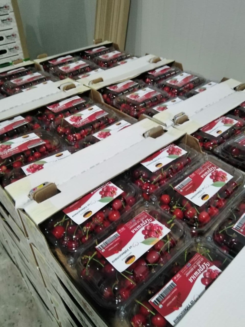 Tenemos cereza fresca y está lista para la venta