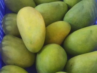 Komatha Fresh, de Ámsterdam / Países Bajos, es desde